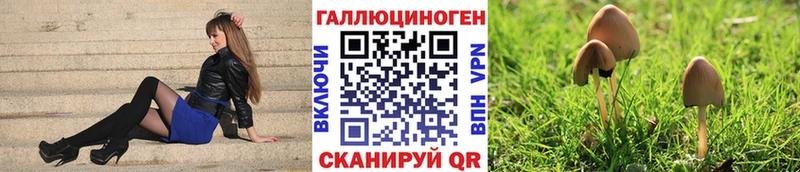 магазин    Гай  Псилоцибиновые грибы Magic Shrooms 