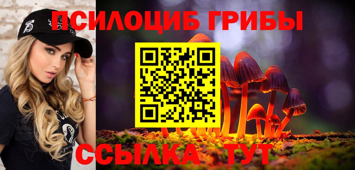 Псилоцибиновые грибы Psilocybe  Псилоцибиновые грибы Psilocybe  Гай  Вход с VPN 