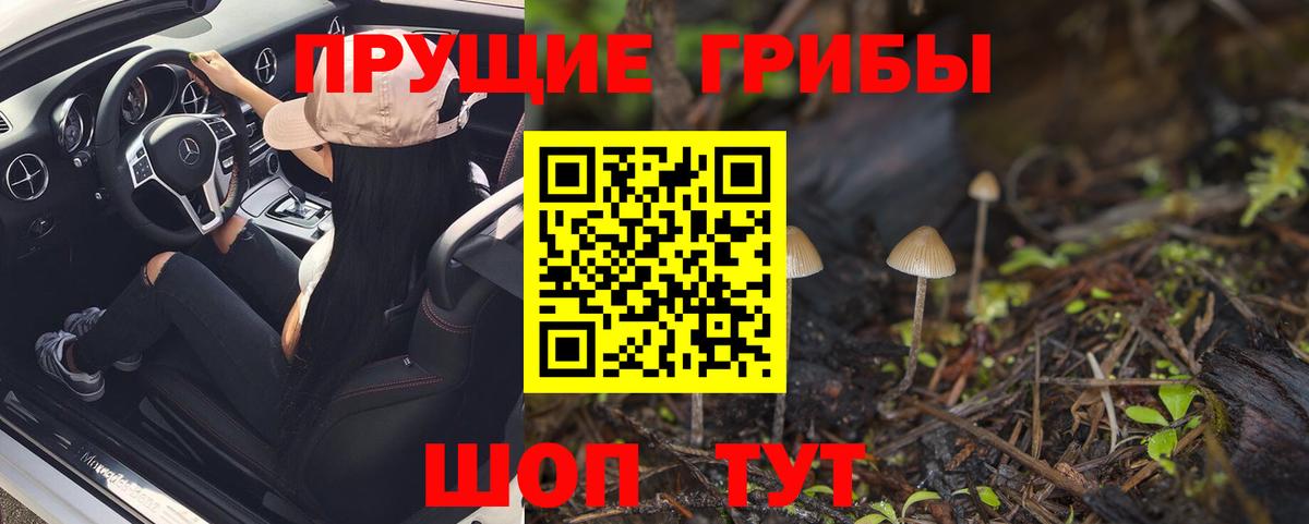 Галлюциногенные грибы мицелий Гай