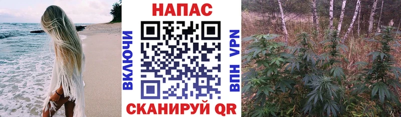 Канабис AK-47  как найти наркотики  Гай 