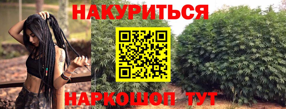 Гай  Марихуана тримм  Шишки марихуана OG Kush  Вход с VPN  МАРИХУАНА гибрид  Бошки марихуана план 